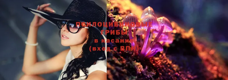 Галлюциногенные грибы Psilocybe  цены наркотик  Белинский 